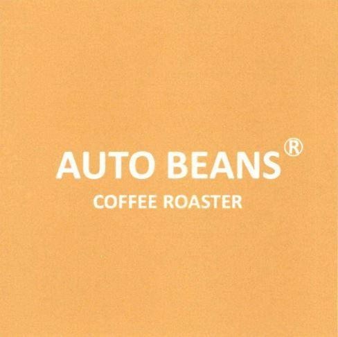 AUTO BEANS COFFEE ROASTER