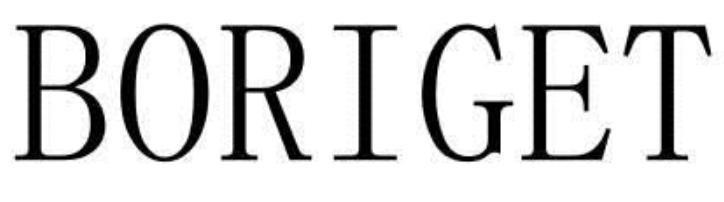BORIGET