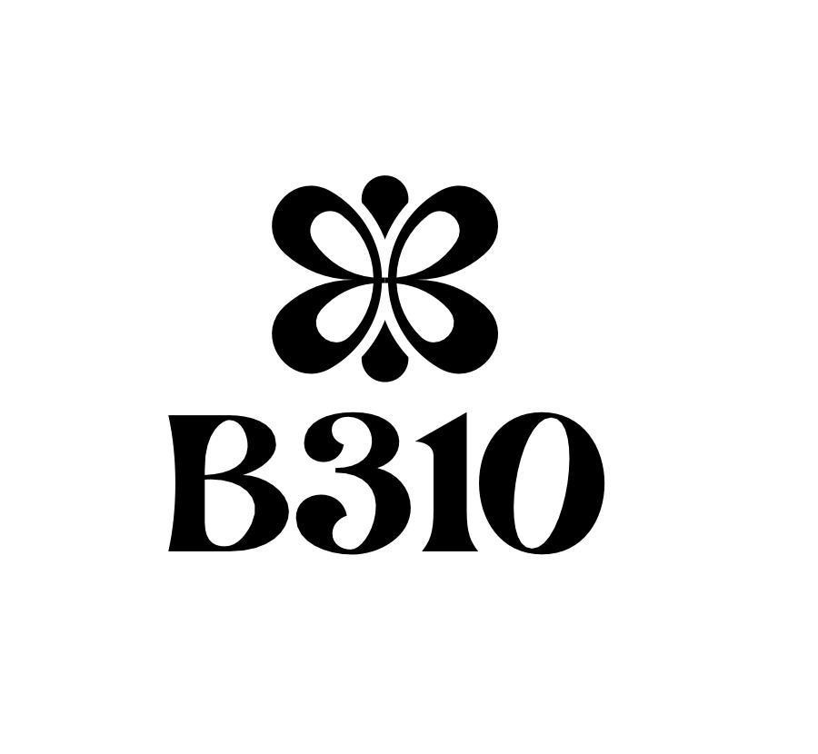 B310