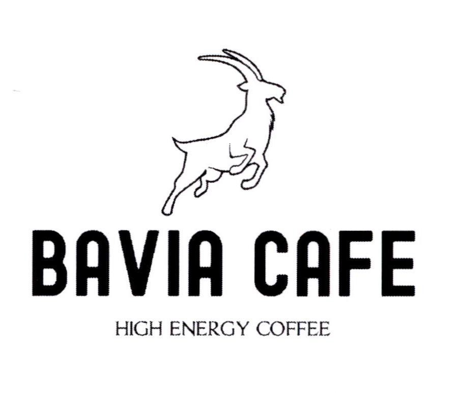 BAVIA CAFE HIGH ENERGY COFFEE