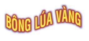 Bông Lúa Vàng