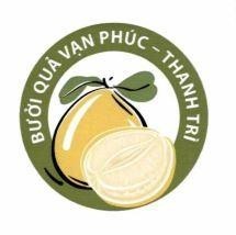 BƯỞI QUẢ VẠN PHÚC THANH TRÌ