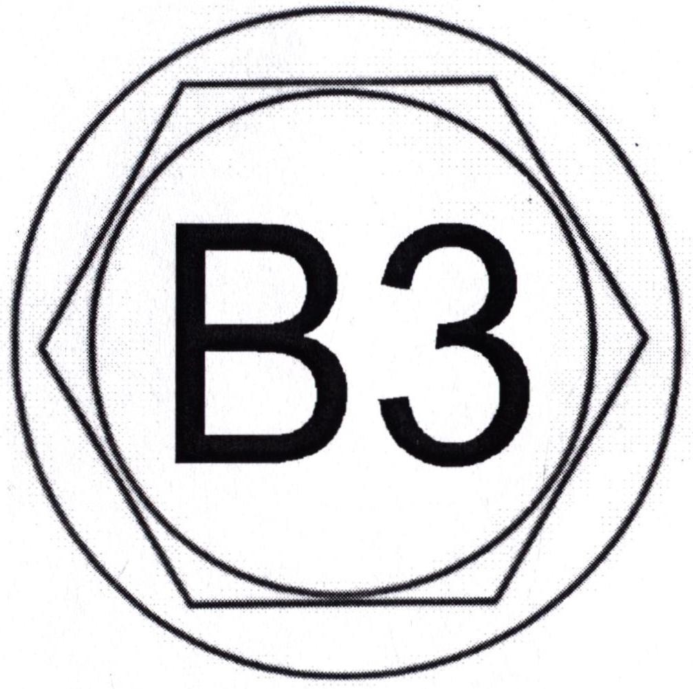 B3