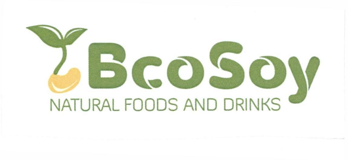 BcoSoy NATURAL FOODS AND DRINKS