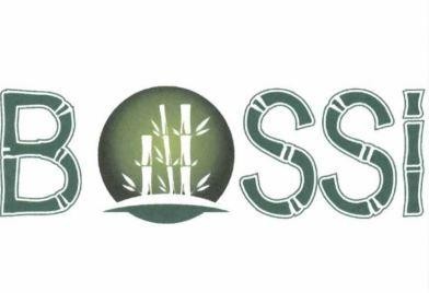 B SSI