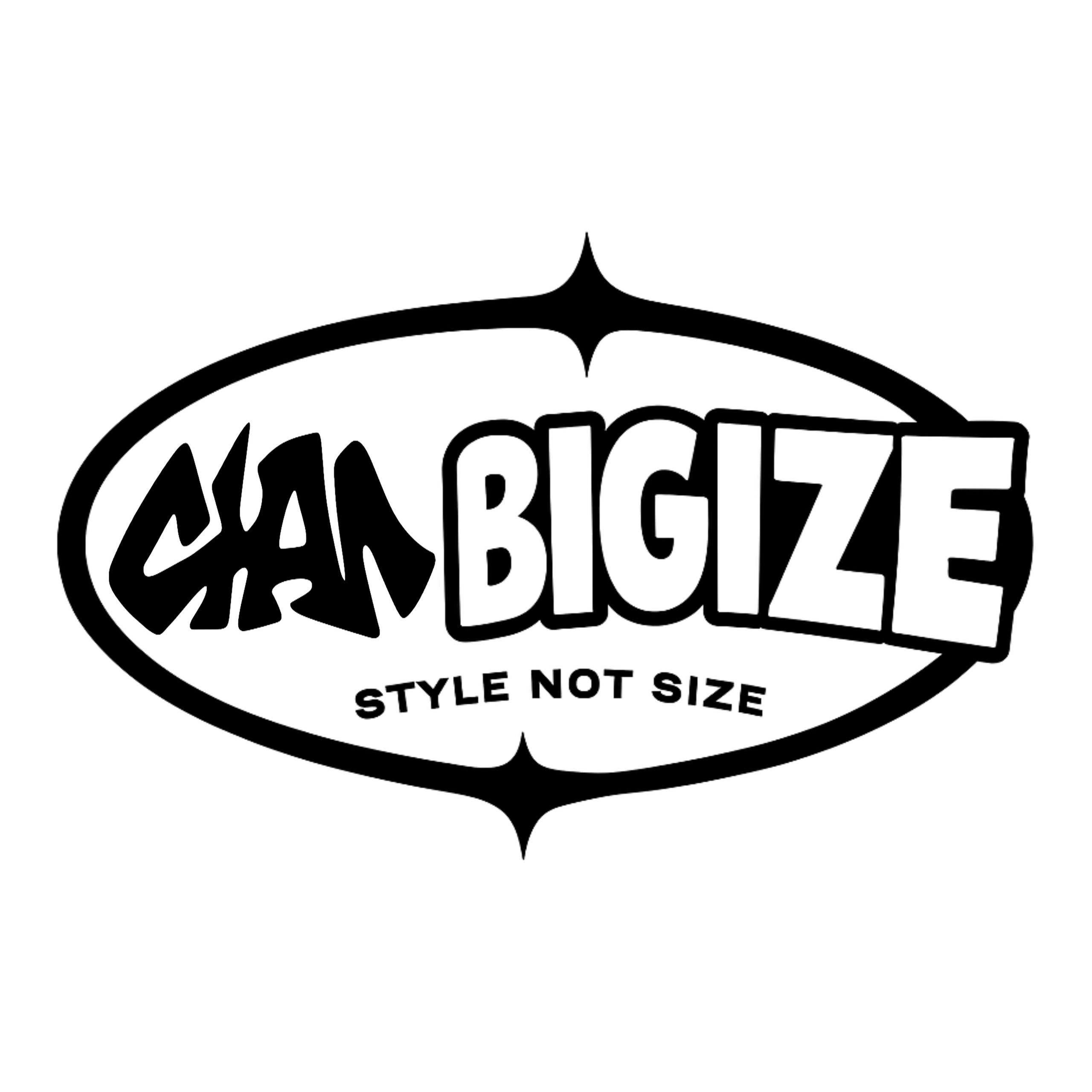 CAN BIGIZE STYLE NOT SIZE