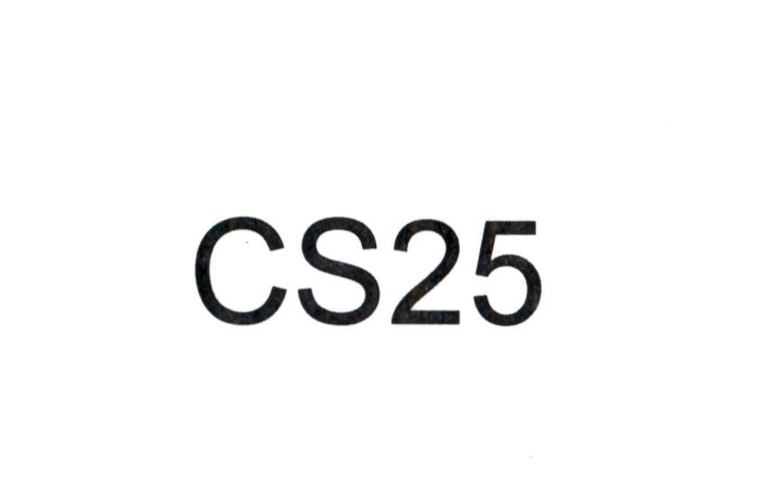 CS25