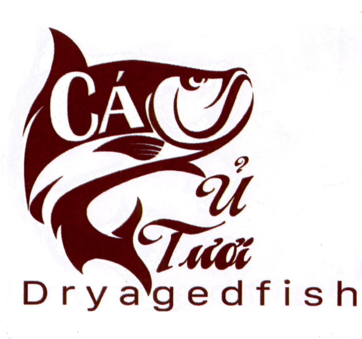 Cá Ủ Tươi Dryagedfish