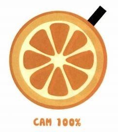 CAM 100%
