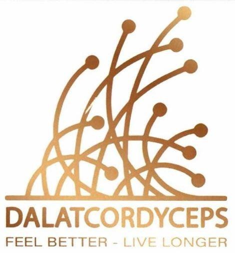 DALATCORDYCEPS FEEL BETTER - LIVE LONGER