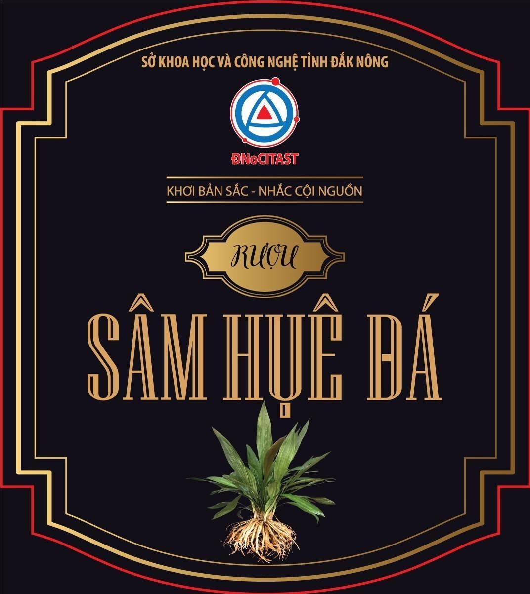 ĐNoCITAST RƯỢU SÂM HUỆ ĐÁ SỞ KHOA HỌC VÀ CÔNG NGHỆ TỈNH ĐẮK NÔNG KHƠI BẢN SẮC - NHẮC CỘI NGUỒN