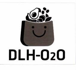 DLH-O2O