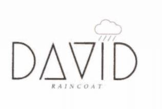 DAVID RAINCOAT