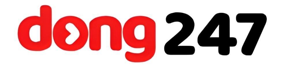 dong247