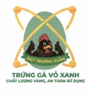 DGT TRƯỜNG XUÂN TRỨNG GÀ VỎ XANH CHẤT LƯỢNG VÀNG, AN TOÀN SỬ DỤNG