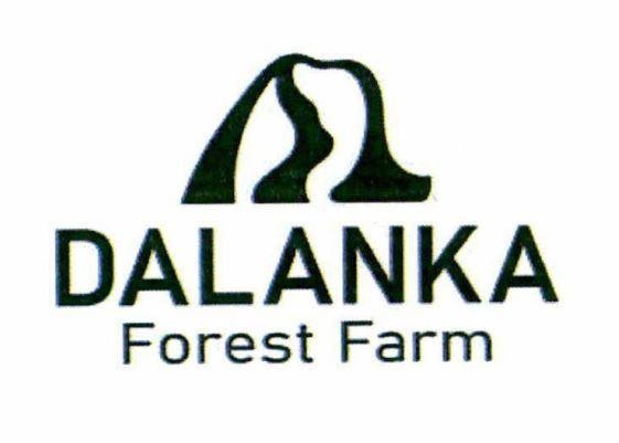 DALANKA Forest Farm