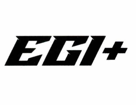 EGI +