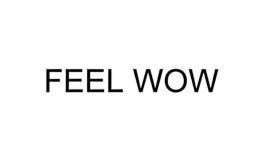 FEEL WOW