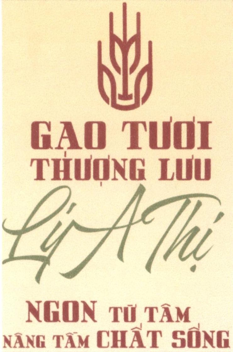 GẠO TƯƠI THƯỢNG LƯU Lý A Thị NGON TỪ TÂM NÂNG TẦM CHẤT SỐNG