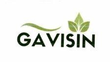 GAVISIN