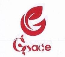 G Gsace