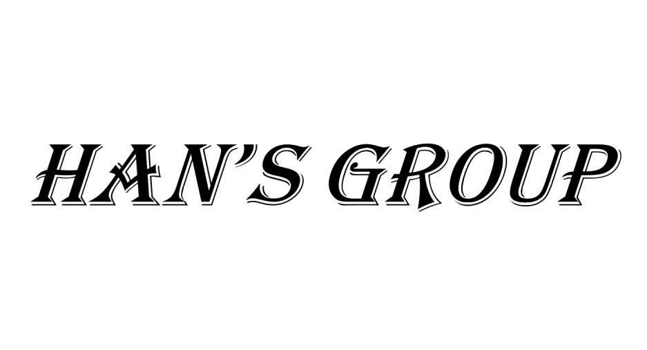 HAN'S GROUP