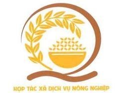 HỢP TÁC XÃ DỊCH VỤ NÔNG NGHIỆP Q