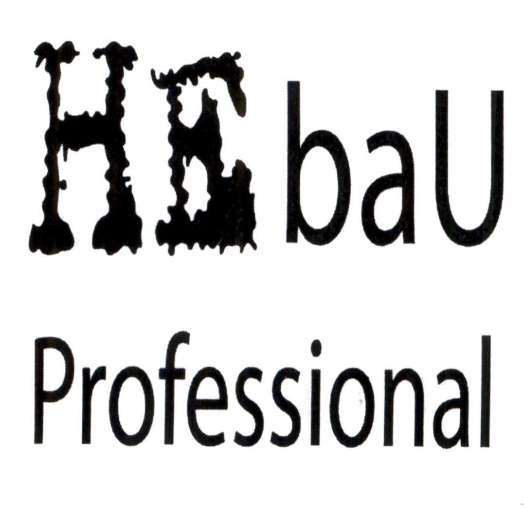 HE baU Professional