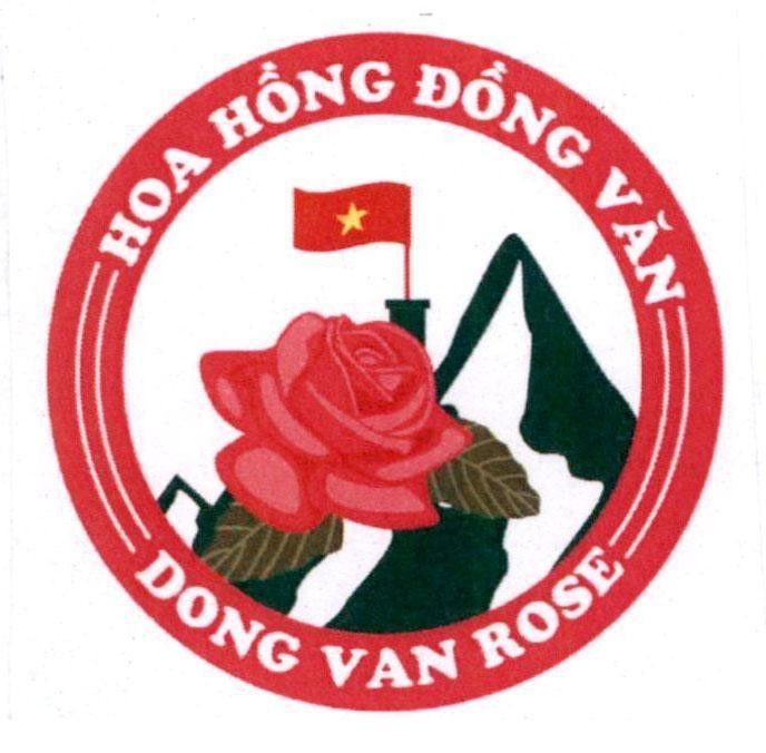 Hoa Hồng Đồng Văn DONG VAN ROSE