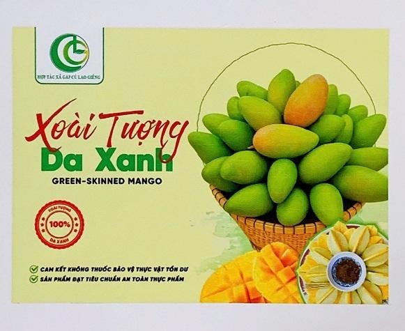 HỢP TÁC XÃ GAP CÙ LAO GIÊNG Xoài Tượng Da Xanh GREEN - SKINNER MANGO XOÀI TƯỢNG DA XANH 100% CAM KẾT KHÔNG THUỐC BẢO VỆ THỰC VẬT TỒN DƯ SẢN PHẨM ĐẠT TIÊU CHUẨN AN TOÀN THỰC PHẨM
