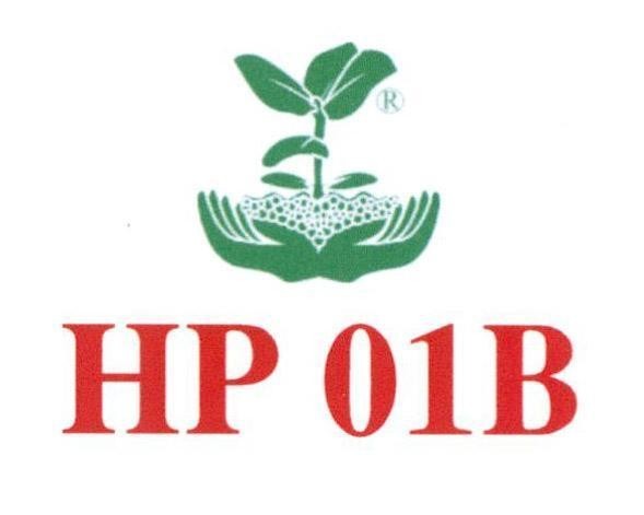 HP 01B