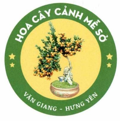 HOA CÂY CẢNH MỄ SỞ VĂN GIANG - HƯNG YÊN