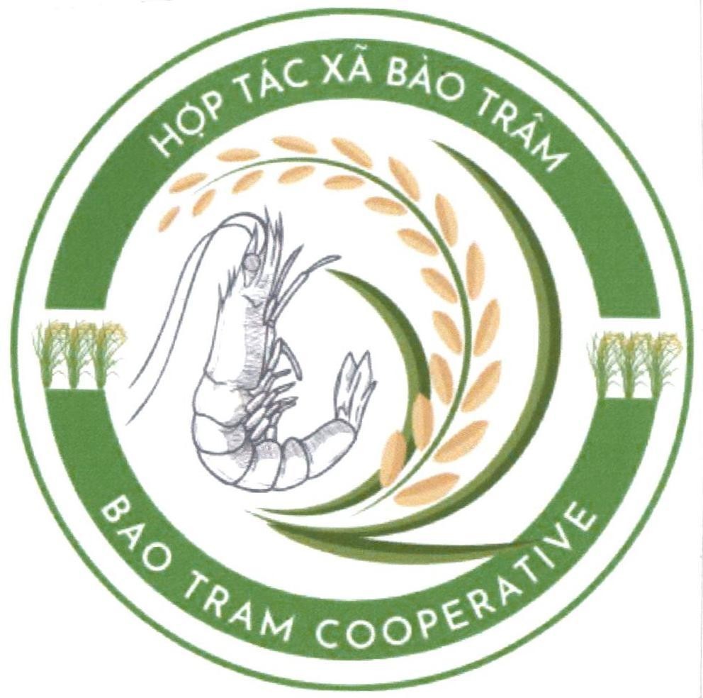 HỢP TÁC XÃ BẢO TRÂM BAO TRAM COOPERATIVE