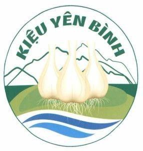 KIỆU YÊN BÌNH