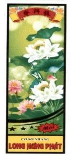 LONG HƯNG PHÁT Mới [Lóng hìn fat: long hưng phát]