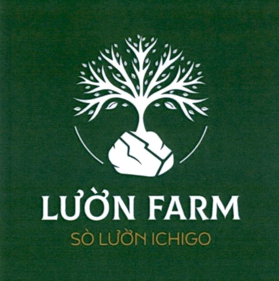 LƯỜN FARM SÒ LƯỜN ICHIGO
