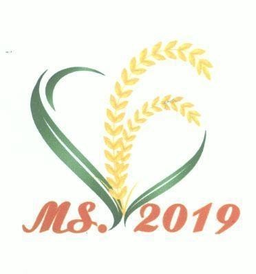 MS. 2019