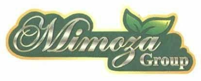 Mimoza Group