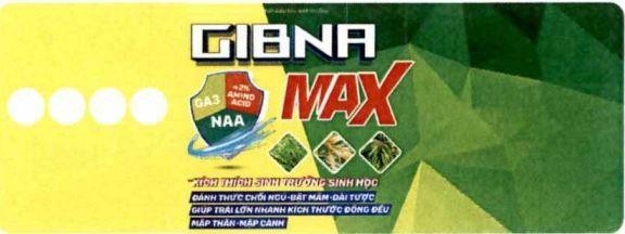 MAX GIBNA GA3 +2% AMINO ACID NAA KHÍCH THÍCH SINH TRƯỞNG SINH HỌC ĐÁNH THỨ CHỒI NGỦ - BẬT MẦM - DÀI TƯỢC GIÚP TRÁI LỚN NHANH KHÍCH THƯỚC ĐỒNG ĐỀU MẬP THÂN - MẬP CÀNH