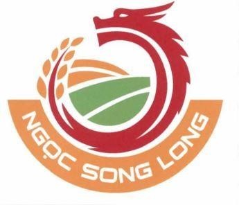NGỌC SONG LONG