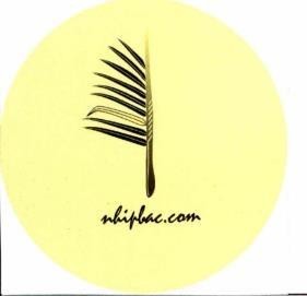 nhipbac.com