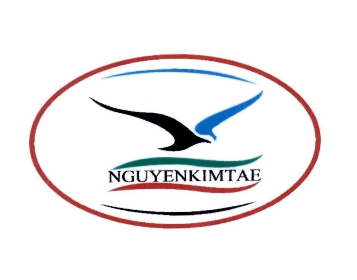 NGUYENKIMTAE