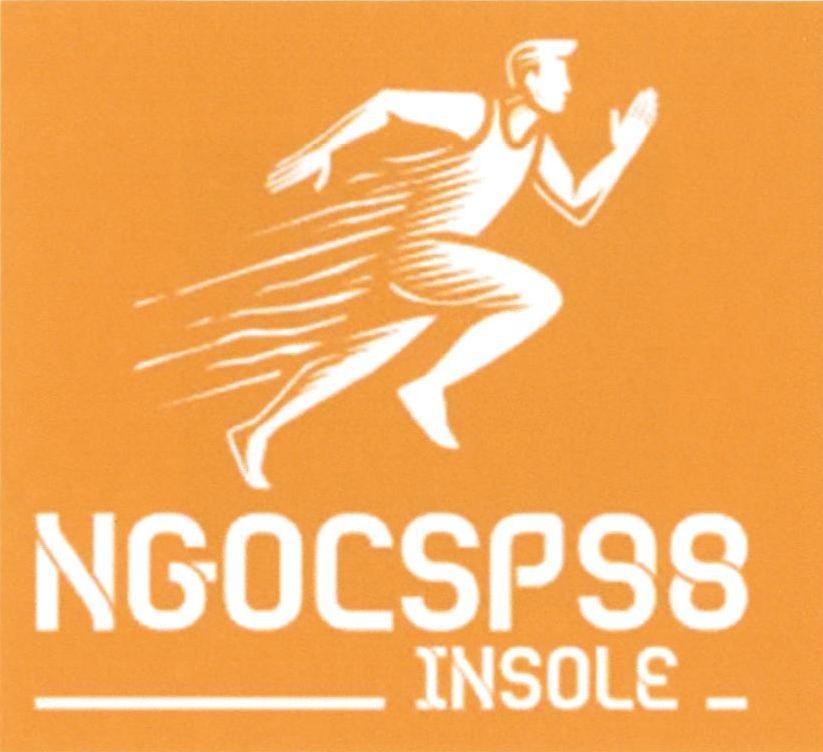 NGOCSP98 INSOLE