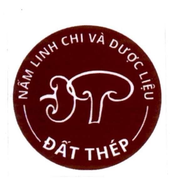 NẤM LINH CHI VÀ DƯỢC LIỆU ĐẤT THÉP