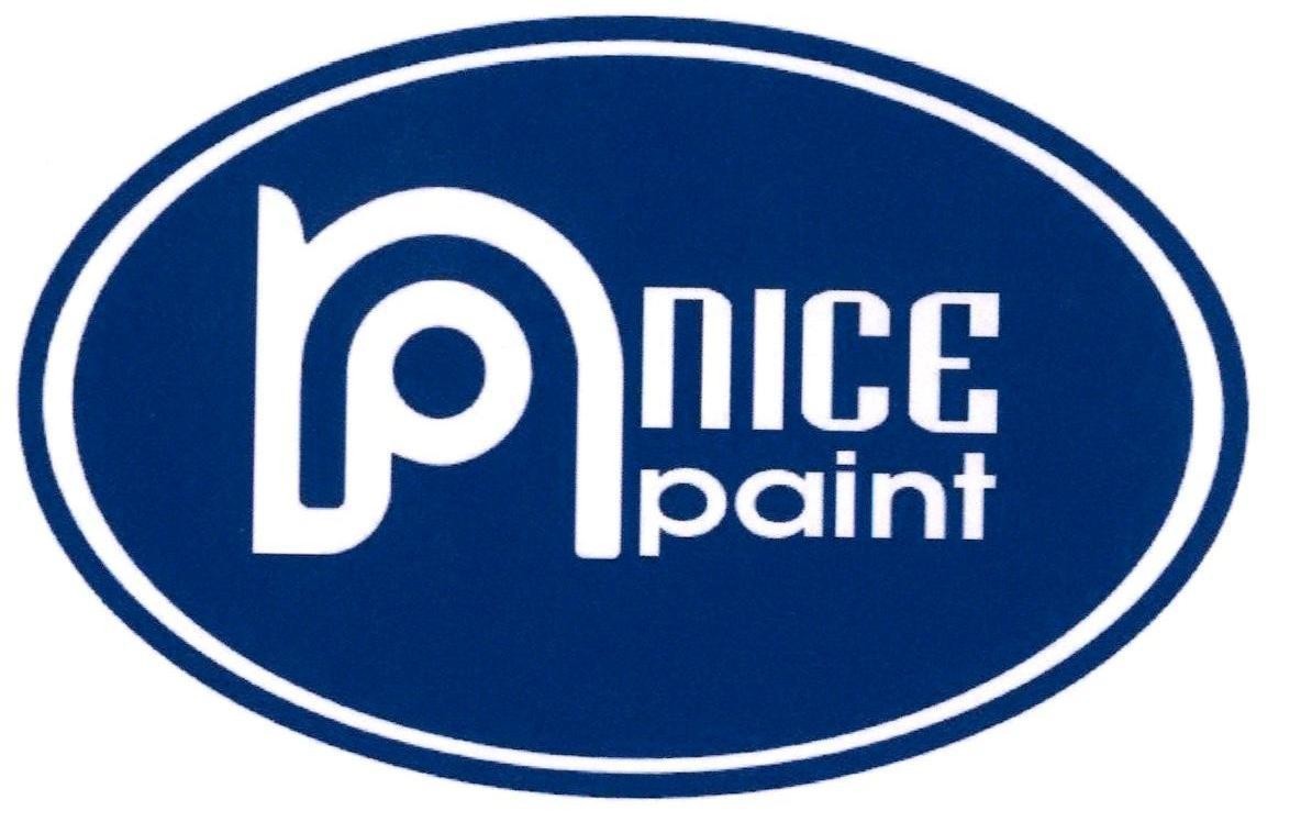 N P nice paint