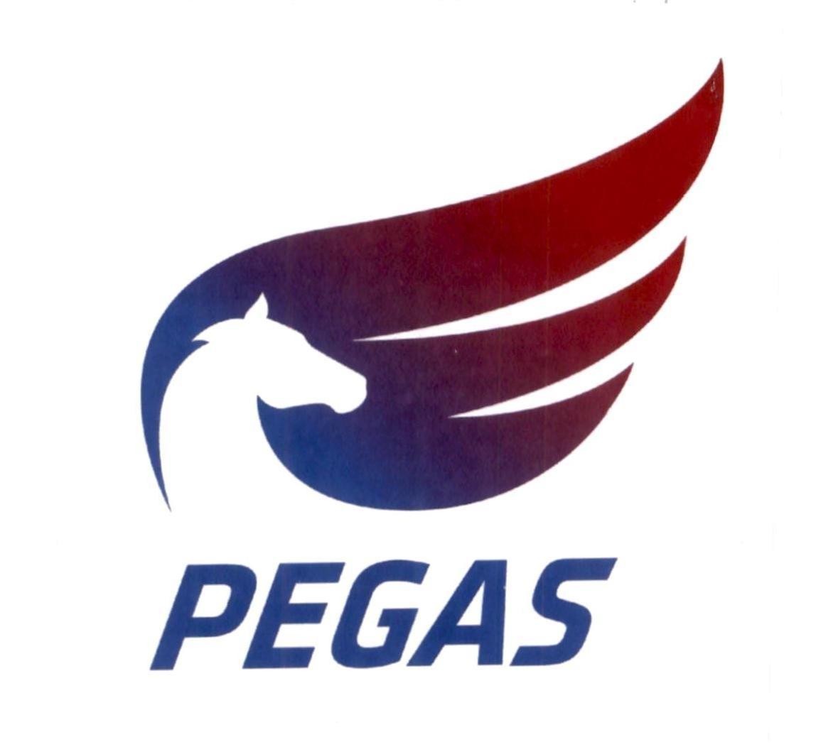 PEGAS