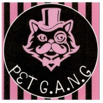 PET G.A.N.G