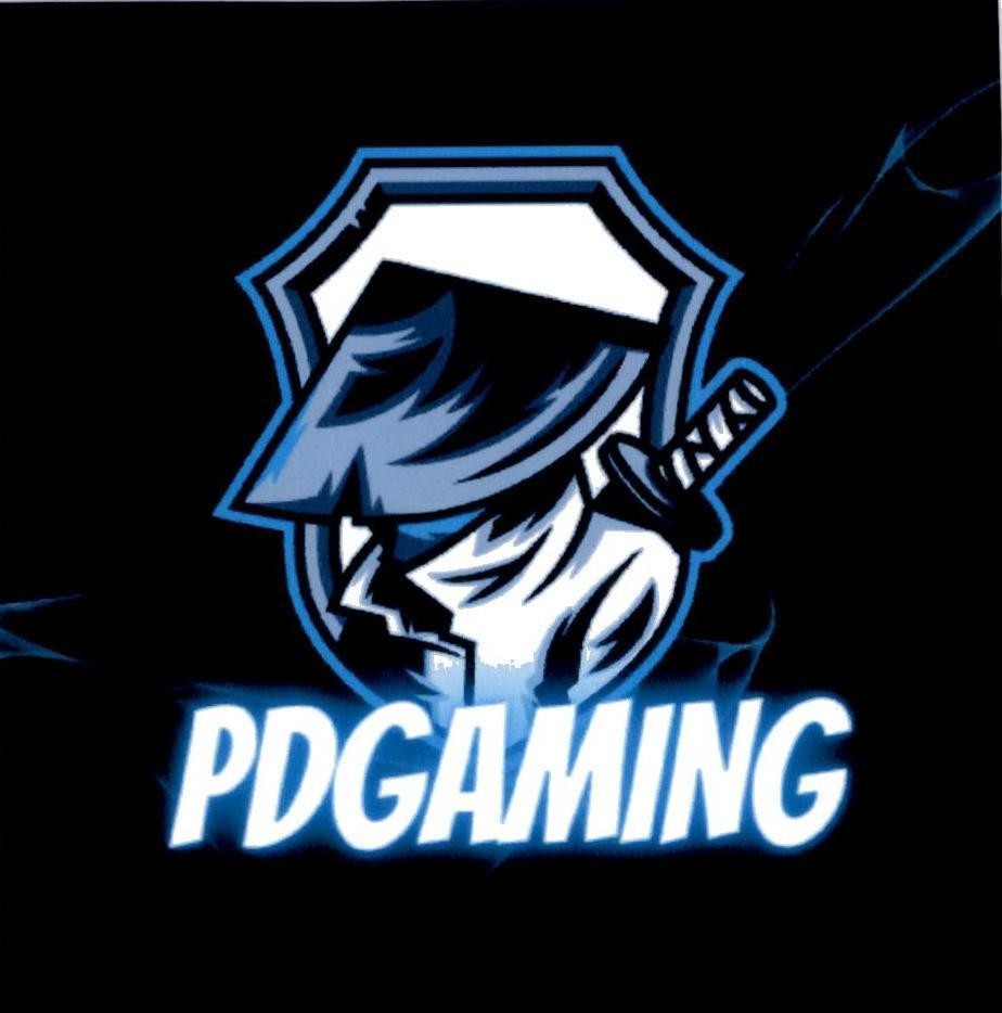 PDGAMING