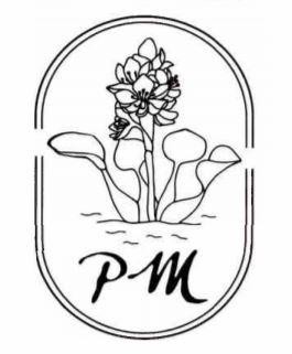 pm