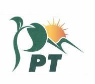 P T PT